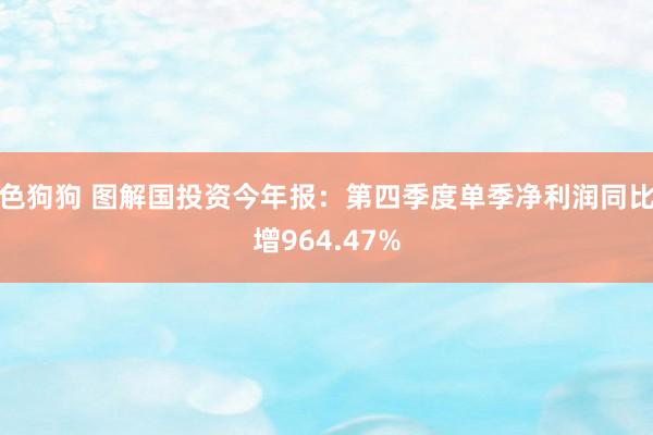   色狗狗 图解国投资今年报：第四季度单季净利润同比增964.47%