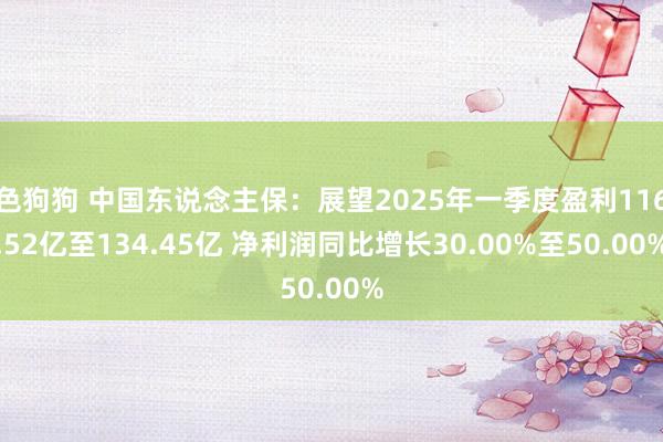   色狗狗 中国东说念主保：展望2025年一季度盈利116.52亿至134.45亿 净利润同比增长30.00%至50.00%