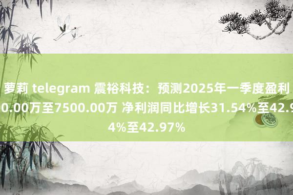   萝莉 telegram 震裕科技：预测2025年一季度盈利6900.00万至7500.00万 净利润同比增长31.54%至42.97%