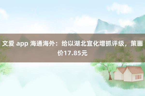   文爱 app 海通海外：给以湖北宜化增抓评级，策画价17.85元