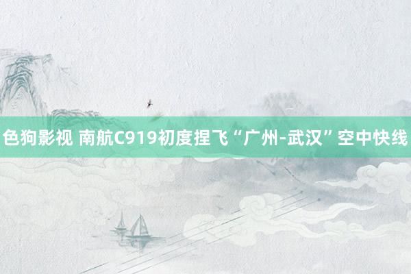   色狗影视 南航C919初度捏飞“广州-武汉”空中快线
