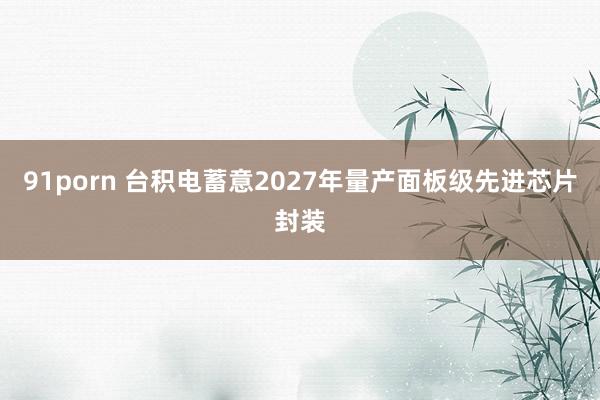 91porn 台积电蓄意2027年量产面板级先进芯片封装