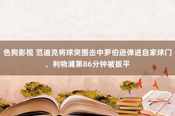   色狗影视 范迪克将球突围击中罗伯逊弹进自家球门，利物浦第86分钟被扳平