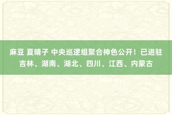   麻豆 夏晴子 中央巡逻组聚合神色公开！已进驻吉林、湖南、湖北、四川、江西、内蒙古