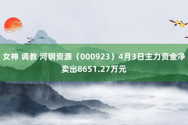   女神 调教 河钢资源（000923）4月3日主力资金净卖出8651.27万元
