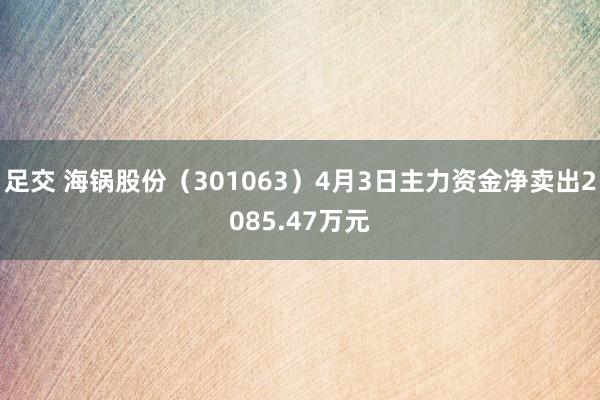 足交 海锅股份（301063）4月3日主力资金净卖出2085.47万元