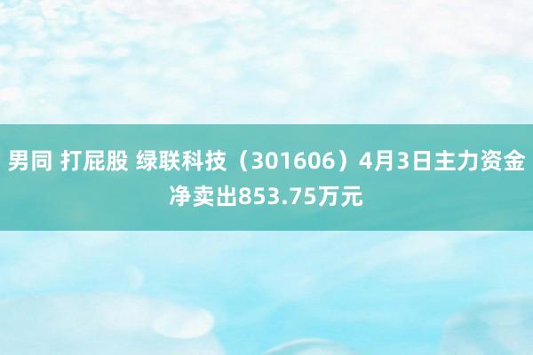   男同 打屁股 绿联科技（301606）4月3日主力资金净卖出853.75万元