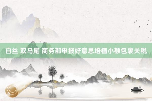   白丝 双马尾 商务部申报好意思培植小额包裹关税