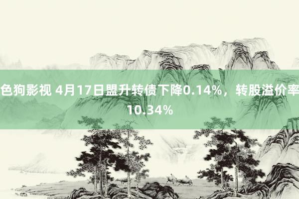   色狗影视 4月17日盟升转债下降0.14%，转股溢价率10.34%