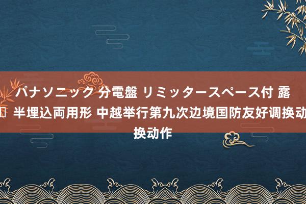 パナソニック 分電盤 リミッタースペース付 露出・半埋込両用形 中越举行第九次边境国防友好调换动作