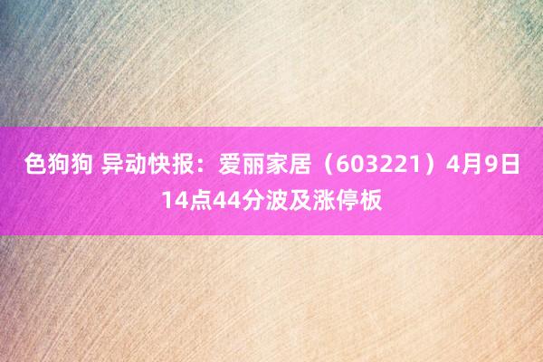 色狗狗 异动快报：爱丽家居（603221）4月9日14点44分波及涨停板