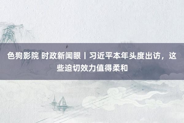   色狗影院 时政新闻眼丨习近平本年头度出访，这些迫切效力值得柔和