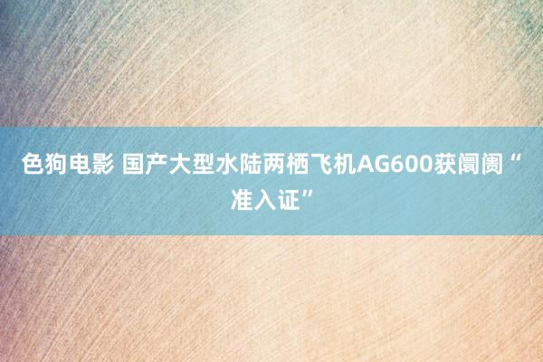   色狗电影 国产大型水陆两栖飞机AG600获阛阓“准入证”