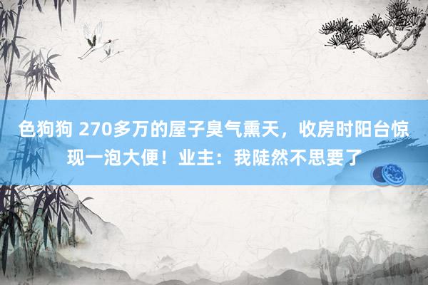  色狗狗 270多万的屋子臭气熏天，收房时阳台惊现一泡大便！业主：我陡然不思要了