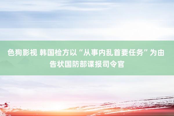 色狗影视 韩国检方以“从事内乱首要任务”为由 告状国防部谍报司令官