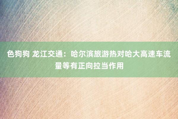   色狗狗 龙江交通：哈尔滨旅游热对哈大高速车流量等有正向拉当作用