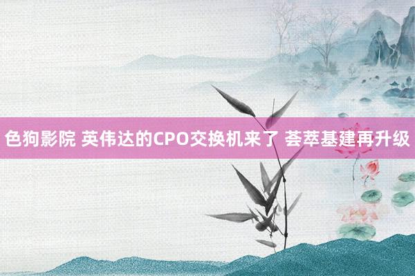  色狗影院 英伟达的CPO交换机来了 荟萃基建再升级