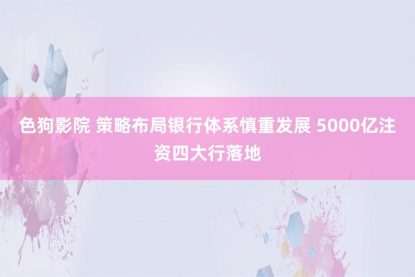   色狗影院 策略布局银行体系慎重发展 5000亿注资四大行落地