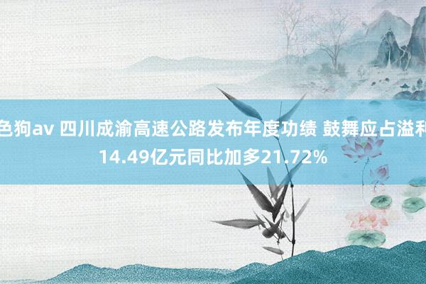   色狗av 四川成渝高速公路发布年度功绩 鼓舞应占溢利14.49亿元同比加多21.72%