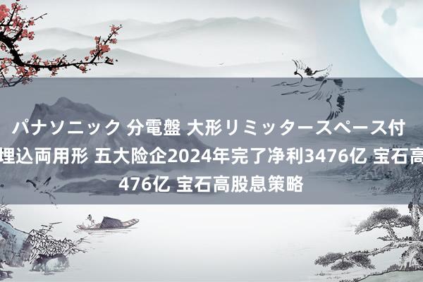 パナソニック 分電盤 大形リミッタースペース付 露出・半埋込両用形 五大险企2024年完了净利3476亿 宝石高股息策略