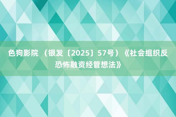   色狗影院 （银发〔2025〕57号）《社会组织反恐怖融资经管想法》