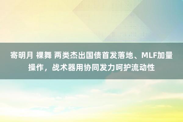   寄明月 裸舞 两类杰出国债首发落地、MLF加量操作，战术器用协同发力呵护流动性