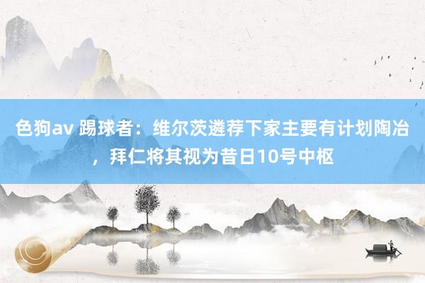 色狗av 踢球者：维尔茨遴荐下家主要有计划陶冶，拜仁将其视为昔日10号中枢