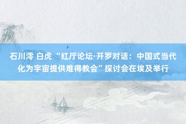  石川澪 白虎 “红厅论坛·开罗对话：中国式当代化为宇宙提供难得教会”探讨会在埃及举行