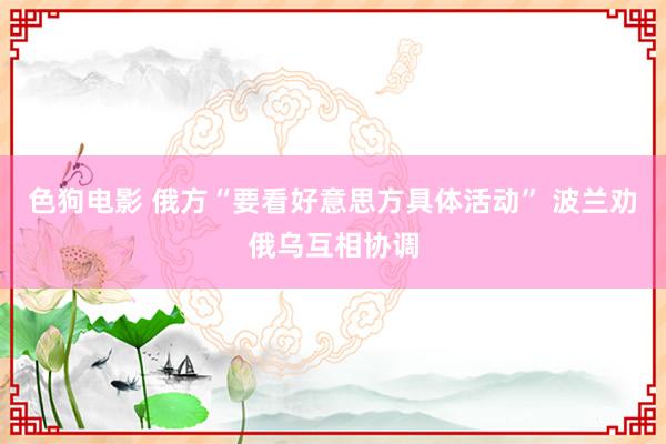 色狗电影 俄方“要看好意思方具体活动” 波兰劝俄乌互相协调
