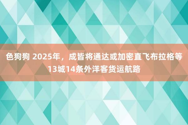   色狗狗 2025年，成皆将通达或加密直飞布拉格等13城14条外洋客货运航路