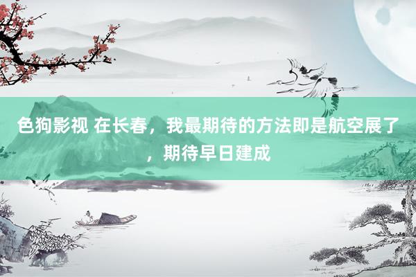   色狗影视 在长春，我最期待的方法即是航空展了，期待早日建成