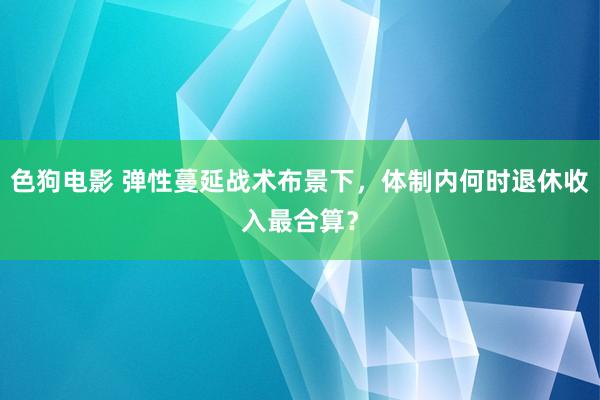 色狗电影 弹性蔓延战术布景下，体制内何时退休收入最合算？
