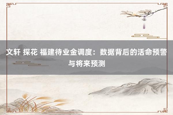 文轩 探花 福建待业金调度：数据背后的活命预警与将来预测